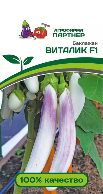 Баклажан Виталик F1, 10 шт семян