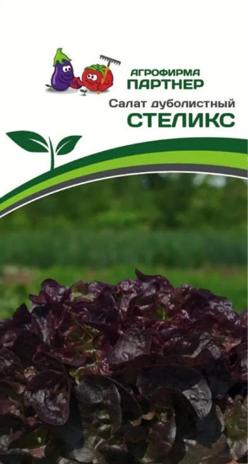 Салат дуболистный Стеликс, 15 шт семян