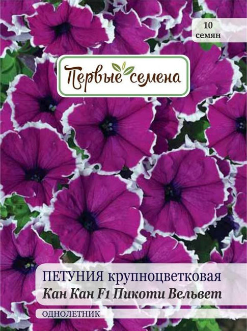 Петуния крупноцветковая Кан Кан F1 Пикоти Вельвет, 10 шт семян