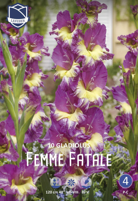 Гладиолус Фем Фаталь (Femme Fatale), 10 шт
