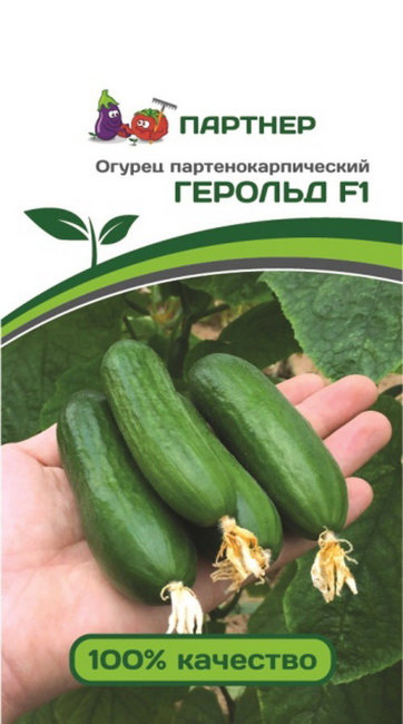Огурец Герольд F1, 5 шт семян
